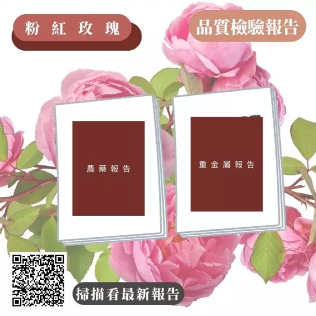 粉紅玫瑰