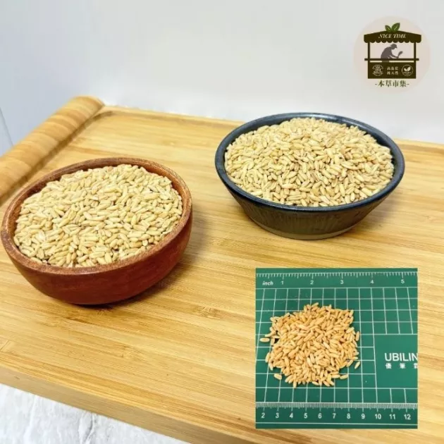 燕麥粒